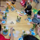 금계초교병설 이미지