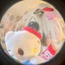 대구막창 이미지