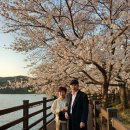 고복자연공원 수변 길 | 고복저수지(고복자연공원)의 벚꽃 나들이