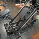 라이언스짐 이미지