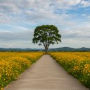 구미강정 이미지