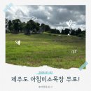 매정목장 | 제주도 아침미소목장 무료입장 | 제주도 아이와 가기 좋은곳