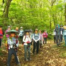 문화유적길(물소리길 1코스) 이미지