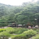 솔밭펜션 캠핑장 이미지