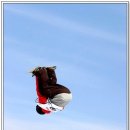 아이스포츠 이미지