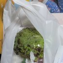 족발쌀롱 웅상점