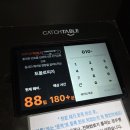 절세미견 | 일산 포폴로피자+밤리단길 락스테디