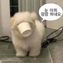 달빛하우스 이미지