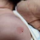 이희수소아청소년과의원 이미지