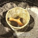 군산-서천광역시티투어 이미지