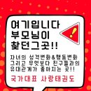 사랑태권도장 이미지