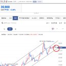 주식회사디엘건축 이미지