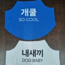 신흥가방&모자