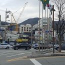 성지연꽃길 이미지