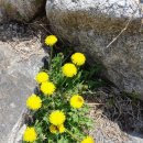 홍천팬션위드엘 이미지