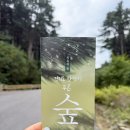 푸른산수목원 | 아침고요수목원 대신? ㅣ가평 산책 “잣향기푸른숲” 추천