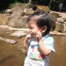 오도산 자연휴양림 이미지