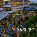 웰니스위시 | 국내 여름 휴가지 추천 소노캄 경주 객실 스위트 웰니스 풀앤스파 할인