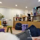 페츠베리머치 카페 이미지