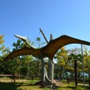 공룡박물관 이미지