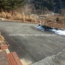 [달시가든, DarcyGarden]-2015. 01. 31. ~ 02. 01. 모나코펜션 아침고요수목원