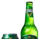 테라디자인 이미지