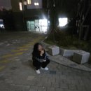 카리스다연