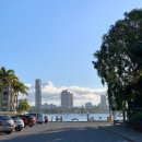 씨월드 피시 이미지