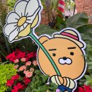 온실과자점 | 세종 당일치기 겨울에 가기 좋은 국립세종수목원 후기 그리고 팡쇼과자점