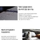 제노아가구 - 광주시 태재로 43 | 제노아가구