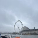 런던아이 (London Eye) 이미지