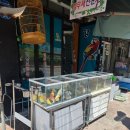 미화조류