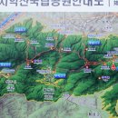 구룡자동차 야영장 이미지