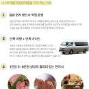 나나트래블과 함께한 오키나와 단독투어 후기(내돈내산)