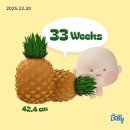 11620-4-35-11 | 임신 후기 33주, 34주, 35주, 36주 개인적인 증상과 주수별 배크기