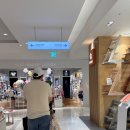 도원휴게실 | [양천/목동] 도원스타일 목동점 중식당 맛집 현대...다이닝 가든 후기(feat. 현대백화점 5층 유아휴게실)