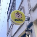 매일굽당 이미지