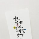 일상의 캘리그라피 이미지