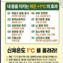 비고르바른건강+고주파 | 비고르바른건강 고주파