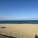 노마드인 강릉 이미지