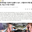 꽃게나라 이미지