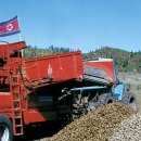 대홍농장 이미지