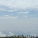 (주)제주백록담 이미지