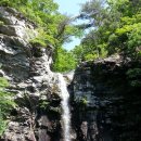 통일가축병원 이미지