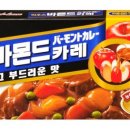 주식회사 에스앤비 | [리뷰]바몬드 고체 카레 매운맛 후기