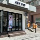 살롱드비니크