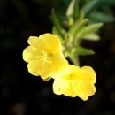 굿라이프슈퍼마켓 이미지