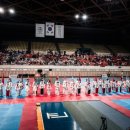 대망태권도 이미지