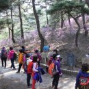 충청도양반길(3코스) 이미지