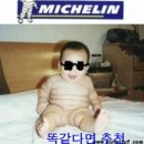 미쉐린타이어 이미지
